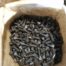 Used Bolts