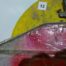 Used Grip Hoist TU-17 cable lift 1500 lbs capacity c/w cable & hook