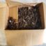 Box of Brown Shelf Clips